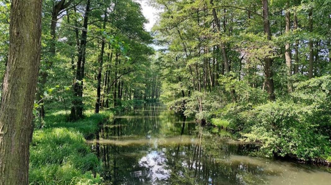 Spreewald Spreemilia Gurkenbude Lübbenau Екстериор снимка